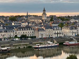 Désinsectisation dératisation Angers